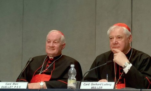 El Vaticano presenta el documento Iuvenescit Ecclesia sobre dones jerárquicos y carismas