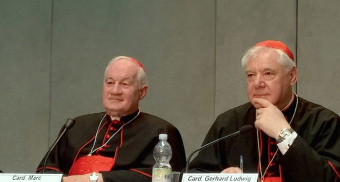 El Vaticano presenta el documento Iuvenescit Ecclesia sobre dones jerárquicos y carismas