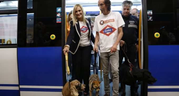 Los perros pueden viajar en el Metro de Madrid desde el miércoles 6 de julio
