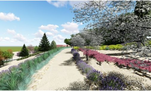 Casi 4.000 metros cuadros de zonas arbustivas y césped embellecerán el Parque de la Granja del Conde