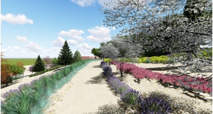 Casi 4.000 metros cuadros de zonas arbustivas y césped embellecerán el Parque de la Granja del Conde