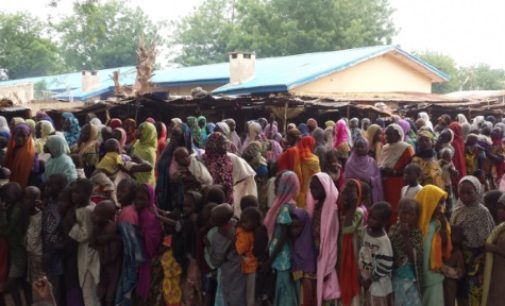 Desastre humanitario a gran escala en el noreste de Nigeria
