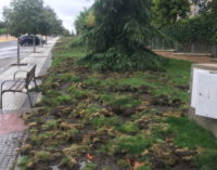 Majadahonda: PSOE pide la convocatoria de la Junta de Portavoces para abordar el problema de los jabalíes