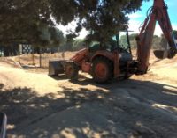 Tratamiento biológico para mantener a raya a la procesionaria en el Monte del Pilar