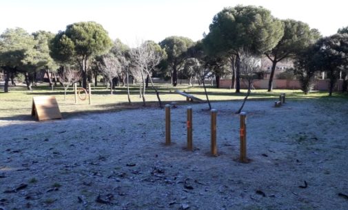 El Parque Cerro del Aire acoge la zona canina más grande de Majadahonda