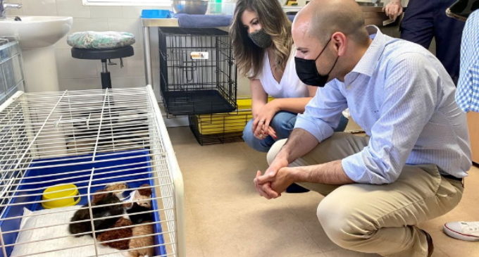 El CICAM de Majadahonda ha hecho posible 127 adopciones de perros y gatos en un año