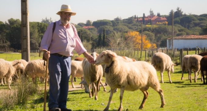 Majadahonda: El Monte del Pilar: orgullo de todos los majariegos