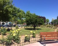 Majadahonda: El Pleno aprueba nuevas inversiones de mejora de la ciudad por valor de 7 millones de euros