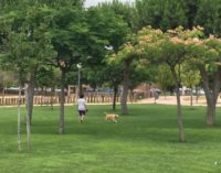 Majadahonda El Ayuntamiento recuerda sus obligaciones a los propietarios de mascotas