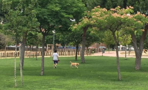 Majadahonda El Ayuntamiento recuerda sus obligaciones a los propietarios de mascotas