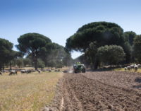 Majadahonda: El Monte del Pilar activa el plan contra incendios y renueva el servicio de vigilancia