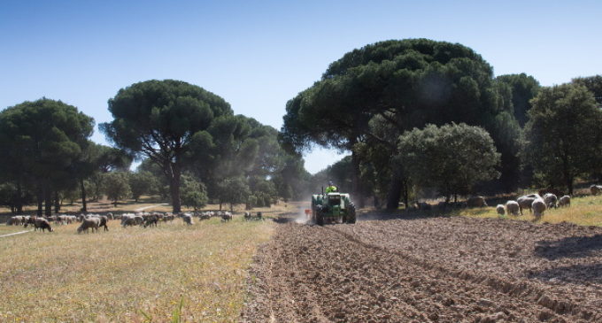 Majadahonda: El Monte del Pilar activa el plan contra incendios y renueva el servicio de vigilancia