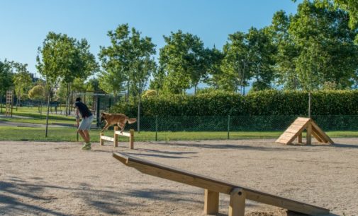 Majadahonda: El Ayuntamiento creará nuevas zonas caninas en los parques para mejorar el control de perros sueltos