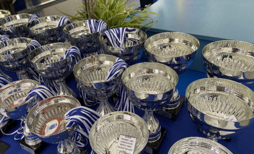 Majadahonda: El Ayuntamiento entrega trofeos a 800 deportistas de los Campeonatos Escolares