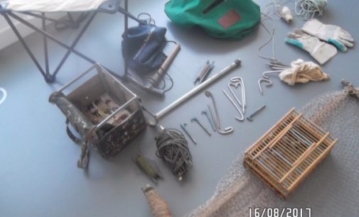 Majadahonda: Decomiso de fringílidos y artes