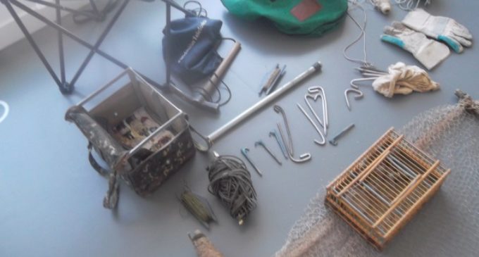 Majadahonda: Decomiso de fringílidos y artes