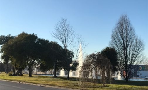 Majadahonda: El Ayuntamiento comienza el año con mejoras en el acerado y aumento de la seguridad peatonal