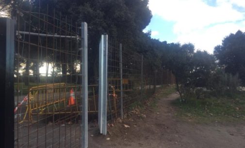 Majadahonda: El Ayuntamiento instala un mallazo de gran resistencia para frenar la entrada de jabalíes