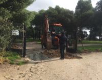 Majadahonda: El Ayuntamiento toma medidas contra los jabalíes