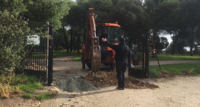 Majadahonda: El Ayuntamiento toma medidas contra los jabalíes