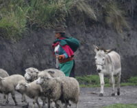 Manos Unidas denuncia: ser indígena es sinónimo de explotación y discriminación