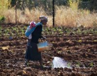 Manos Unidas reclama un cambio en las políticas comerciales, medioambientales y financieras para luchar contra la pobreza en África