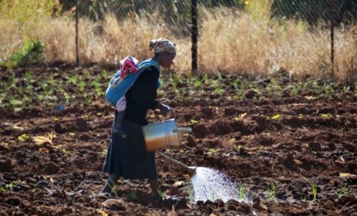 Manos Unidas reclama un cambio en las políticas comerciales, medioambientales y financieras para luchar contra la pobreza en África
