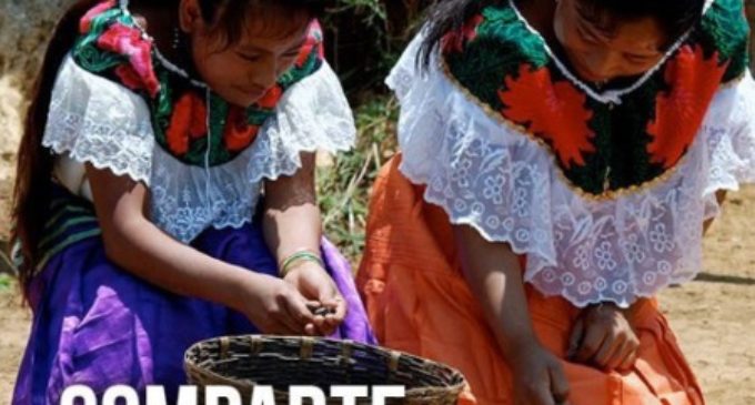 Manos Unidas considera inaceptable que 821 millones de personas pasen hambre en el mundo