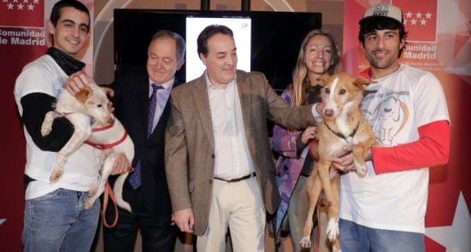 La adopción de animales como alternativa a la compra de mascotas, promocionada por la Comunidad de Madrid