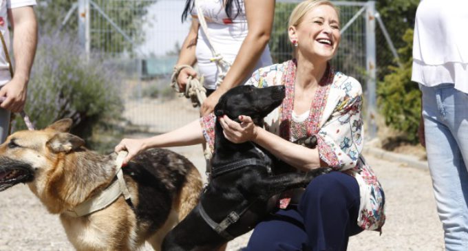 Cifuentes anima a la adopción de mascotas y a una tenencia responsable de los animales de compañía