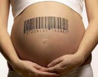 El Consejo de Europa rechaza nuevamente la maternidad subrogada
