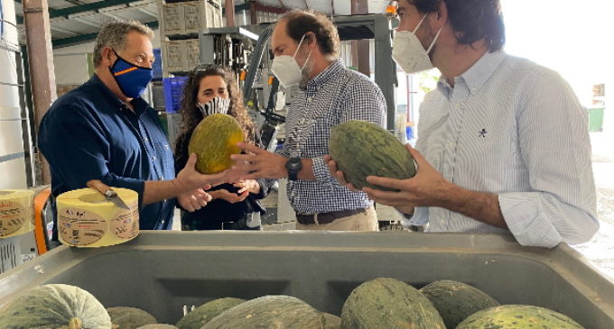 Madrid produce 7.600 toneladas de melón al año de 13 variedades locales diferentes