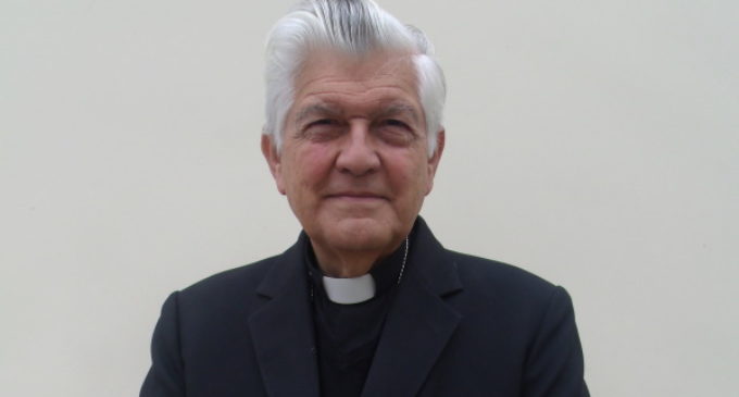 Mons. Salvador Piñeiro: Europa y Asia ven muy distante el tema de la Amazonía