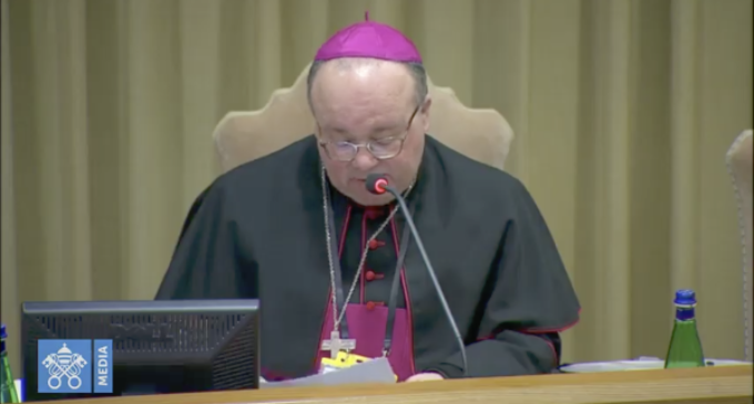 Mons. Scicluna: “Asumir la responsabilidad de procesar los casos de crisis de abusos sexuales y de prevenir los abusos”