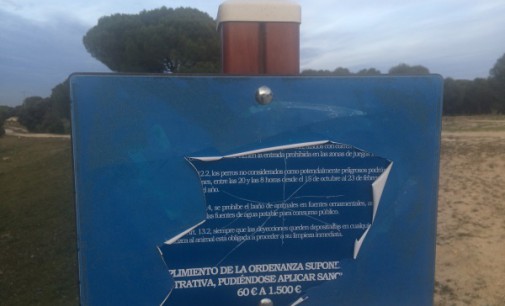 Enfrentamientos por el Monte del Pilar de Majadahonda