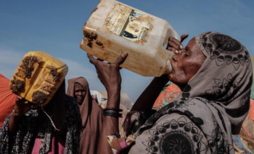 ONU: Más de medio millón de niños somalíes padecen hambre