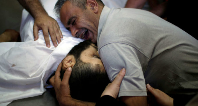 Ibrahim Faltas, responsable de las relaciones con Israel y Palestina de la Custodia franciscana: «Nunca había visto tanta ira en Tierra Santa»