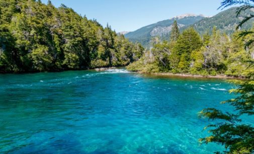 Plan Estratégico de Bosques de la ONU: Enfoque social y ecológico