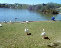 La Comunidad de Madrid reabre los parques de Valdebernardo, Polvoranca y Bosquesur