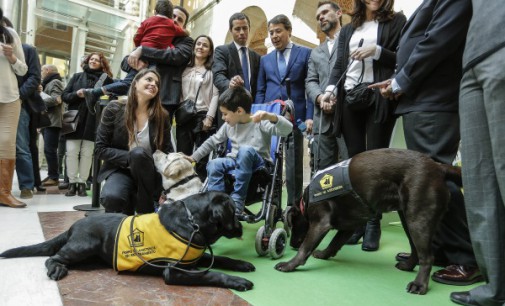 Los perros de asistencia de las personas con discapacidad podrán entrar a todos los espacios públicos