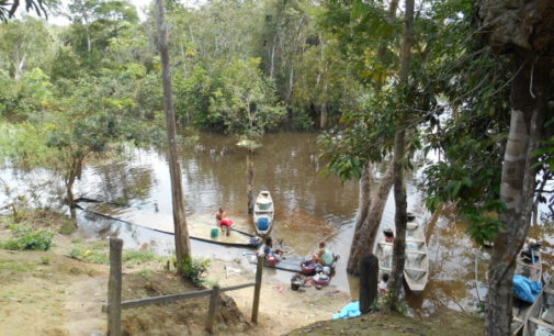 Comunicadores peruanos alistan encuentro rumbo a Sínodo para la Amazonía