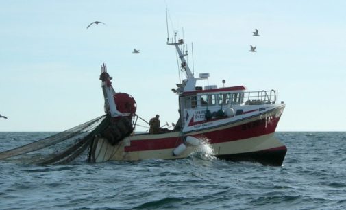 La Santa Sede denuncia la trata, en el Mensaje de la Jornada mundial de la Pesca