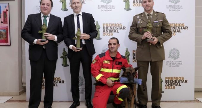 La Comunidad de Madrid recibe el Premio Bienestar Animal que otorgan los veterinarios de la región