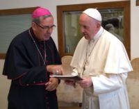 Desde la misión: Presínodo amazónico en Roma
