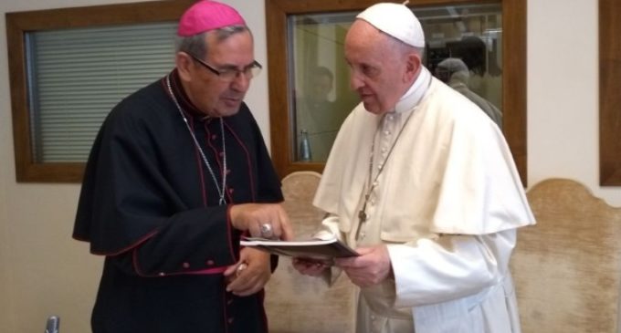 Desde la misión: Presínodo amazónico en Roma