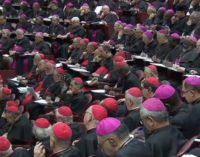 Los 21 puntos de reflexión del Papa a los participantes de la cumbre antiabusos