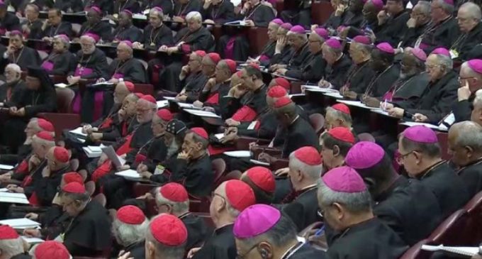 Los 21 puntos de reflexión del Papa a los participantes de la cumbre antiabusos
