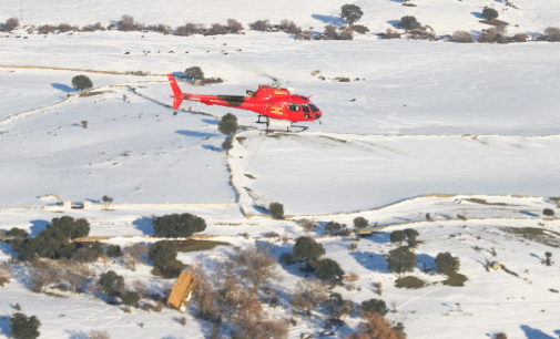 La Comunidad activa una operación por vía aérea para alimentar ganado aislado por el temporal