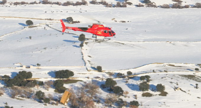 La Comunidad activa una operación por vía aérea para alimentar ganado aislado por el temporal