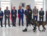 La Comunidad de Madrid combate la violencia en los centros educativos con formación específica para policías locales y docentes